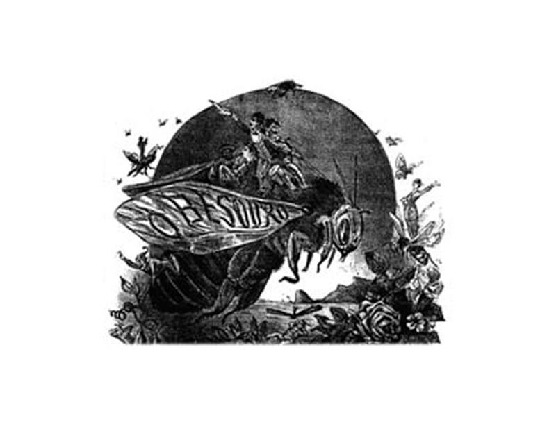 A figure produced for Revists O Besoro: a giant beetle, with the magazine's name, being ridden by people near a paradisiac cenery